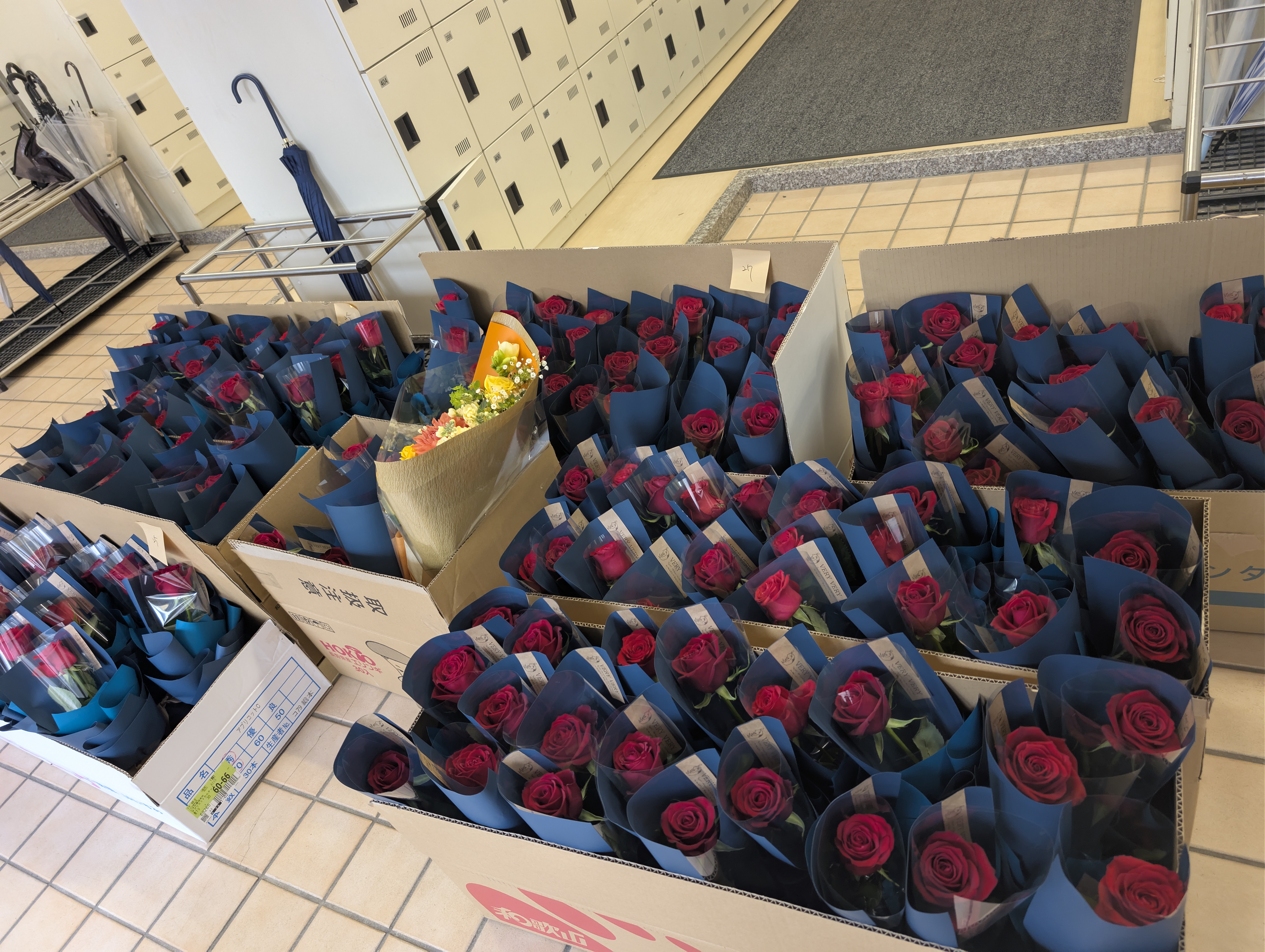 大量制作・学校への納品