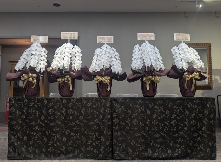 大口の胡蝶蘭納品