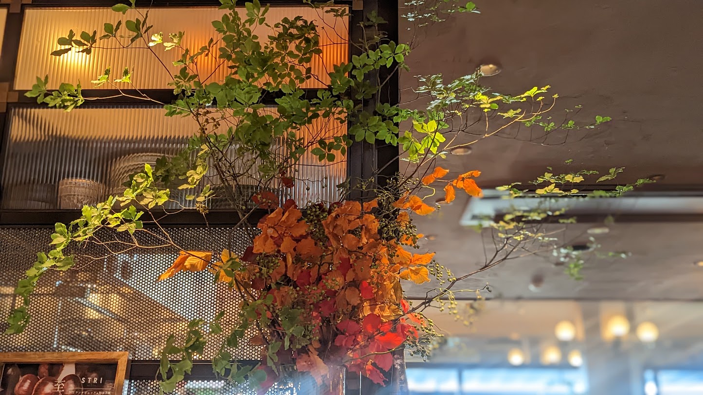 店舗装飾 秋のディスプレイ