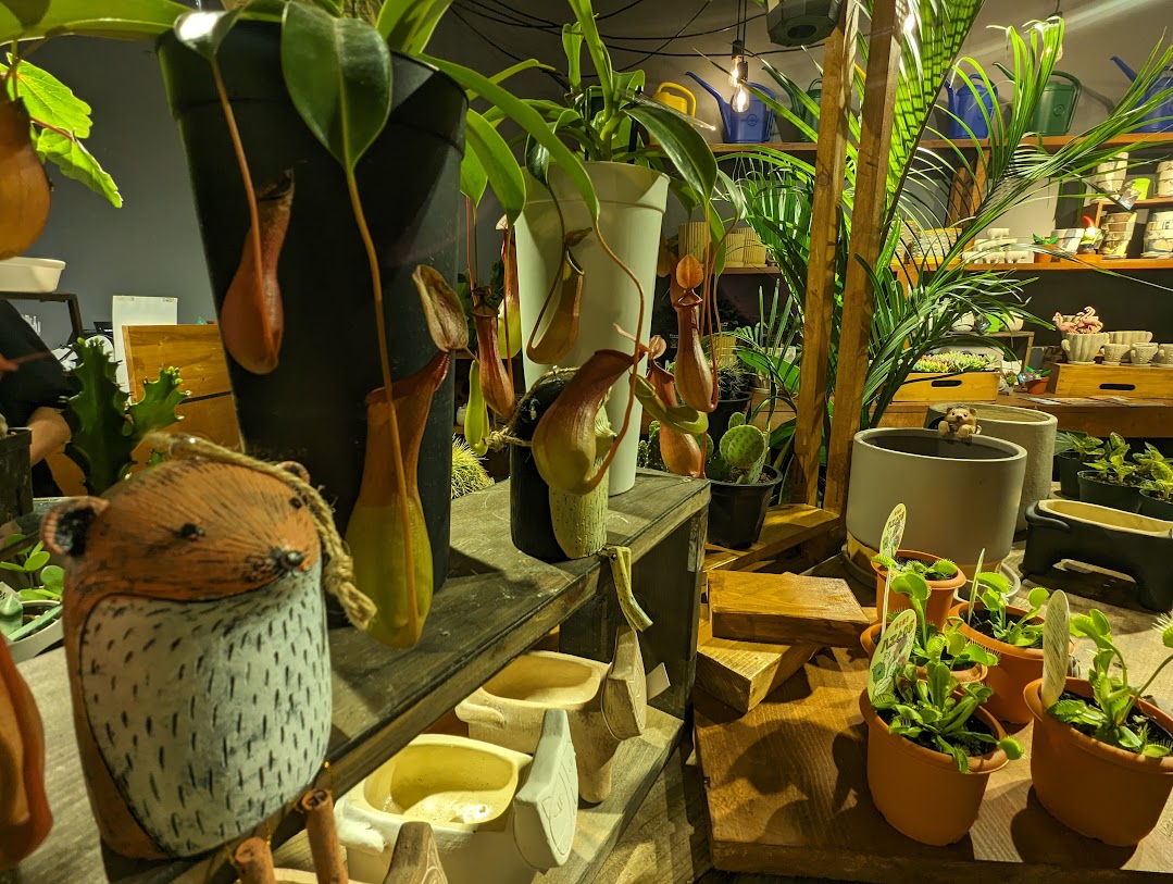 町田街道店 店頭