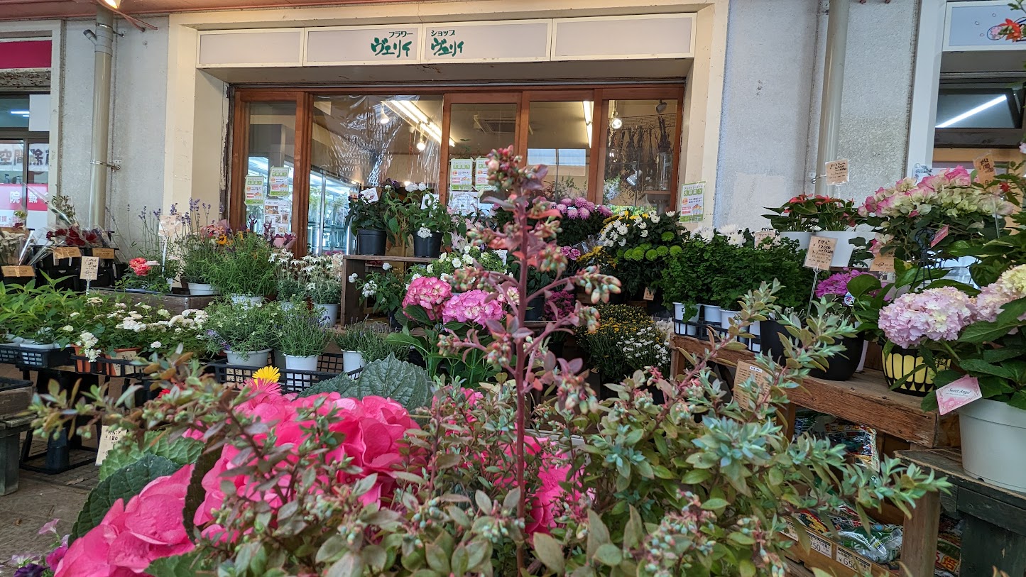 小山田桜台店 ドライガーデン
